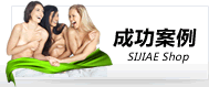 成功案例